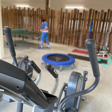 Appartamento Im Chaletstil Aehrenglueck 70 Qm Wellness Fitness Sauna Bergroedelhof *